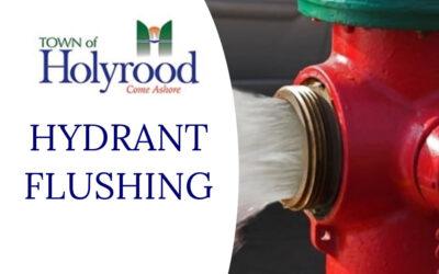 Hydrant Flushing- Salmonier Line