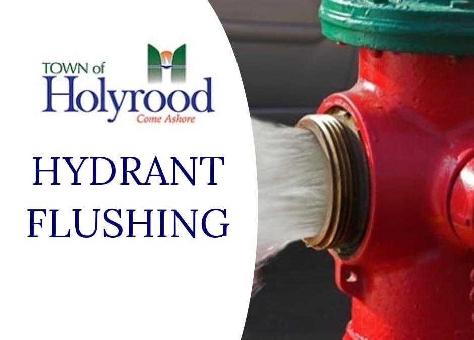 Hydrant Flushing- Salmonier Line