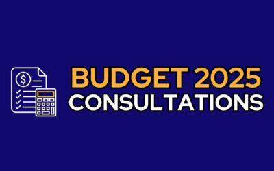Budget 2025 Consultations