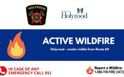 Active Wildfire – Holyrood/Butterpot Park Area