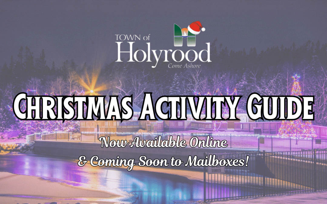 Christmas Activity Guide – Now Available Online!