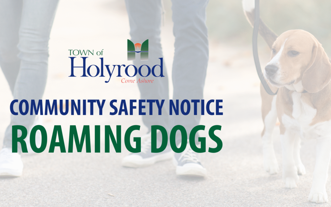 Community Safety Notice – Roaming Dogs