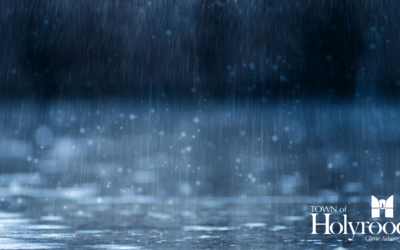 Flooding & Shoulder Erosion