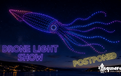 ✨ Drone Light Show Update ✨