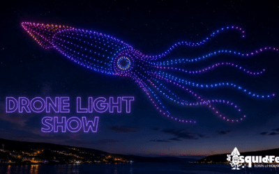 Drone Light Show – A GO!